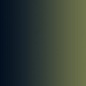 Vallejo Commando Green - XPress Color