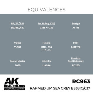 AK Interactive Real Colors Air - RC963 RAF Medium Sea Grey BS381C/637