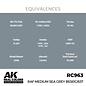 AK Interactive Real Colors Air - RC963 RAF Medium Sea Grey BS381C/637