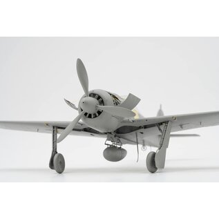 Border Model Focke-Wulf Fw190A-8 R2/R6/R7/R8 - 1:35