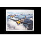 Eduard Curtiss P-40E Warhawk - Royal Class  - Dual Combo - Limited Edition - 1:48