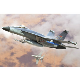 HobbyBoss HobbyBoss - Boeing F/A-18E Super Hornet VFC-12 - 1:48