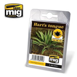 AMMO by MIG AMMO - Hart's Tongue - 1:48 / 1:35 / 1:32