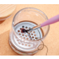 Traudls Modellbau Pinselreinigungsglas