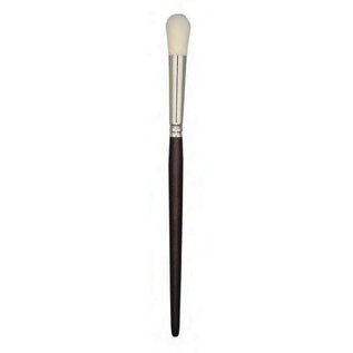 Zahn Pinsel (Ent-)Staubpinsel - Dust Brush