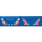 Kinetic Dassault/Dornier Alpha Jet "Patrouille de France 2017" - Pack of 2 Kits - 1:48