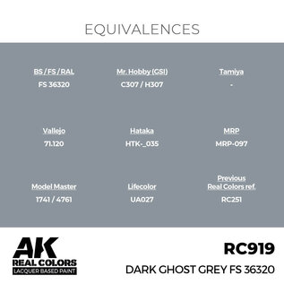 AK Interactive Real Colors Air - RC919 Dark Ghost Grey FS 36320