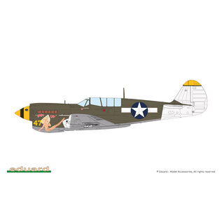 Eduard Curtiss P-40N Warhawk - Weekend Edition - 1:48