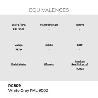 AK Interactive Real Colors - RC809 White Grey