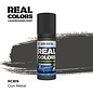 AK Interactive Real Colors - RC819 Gun Metal