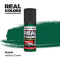 AK Interactive Real Colors - RC848 Vaillant Green