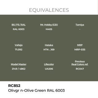 AK Interactive Real Colors - RC852 Olivgrün - Olive Green RAL 6003