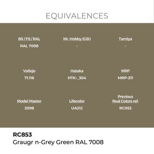 AK Interactive Real Colors - RC853 Graugrün - Grey Green RAL 7008