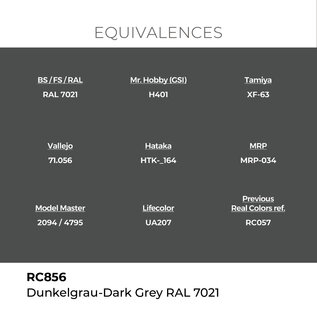 AK Interactive Real Colors - RC856 Dunkelgrau - Dark Gray RAL 7021