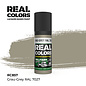 AK Interactive Real Colors - RC857 Grau - Grey RAL 7027