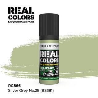 AK Interactive Real Colors - RC866 Silver Grey No.28 (BS381)