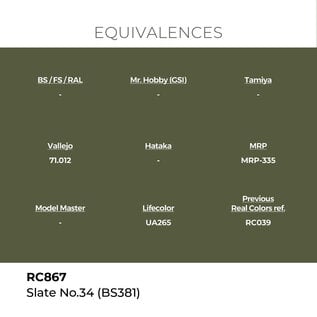 AK Interactive Real Colors - RC867 Slate No.34 (BS381)