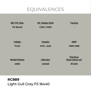AK Interactive Real Colors Air - RC889 Light Gull Grey FS 16440