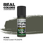 AK Interactive Real Colors - RC900 Forest Green FS 34079