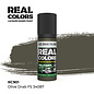 AK Interactive Real Colors - RC901 Olive Drab FS 34087