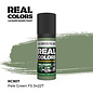 AK Interactive Real Colors Air - RC907 Pale Green FS 34227