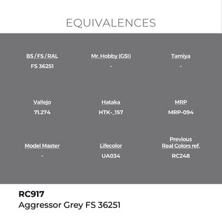 AK Interactive Real Colors Air - RC917 Aggressor Grey FS 36251