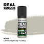 AK Interactive Real Colors Air - RC922 Camouflage Grey FS 36622