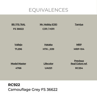 AK Interactive Real Colors Air - RC922 Camouflage Grey FS 36622