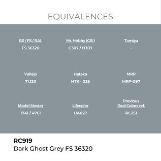 AK Interactive Real Colors Air - RC919 Dark Ghost Grey FS 36320