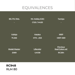AK Interactive Real Colors Air - RC948 RLM 80
