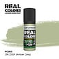 AK Interactive Real Colors Air - RC953 IJN J3 SP (Amber Grey)