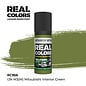 AK Interactive Real Colors Air - RC956 IJN M3(M) Mitsubishi Interior Green