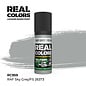 AK Interactive Real Colors Air - RC959 RAF Sky Grey / FS 26373