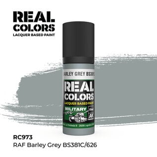 AK Interactive Real Colors Air - RC973 RAF Barley Grey BS381C/626