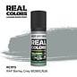 AK Interactive Real Colors Air - RC973 RAF Barley Grey BS381C/626