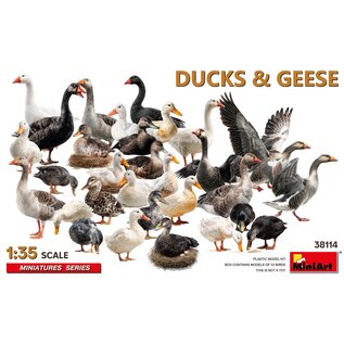 MiniArt Ducks & Geese - 1:35