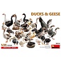 MiniArt Ducks & Geese - 1:35