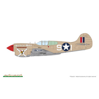 Eduard Curtiss P-40K Warhawk (short tail) - ProfiPack - 1:48