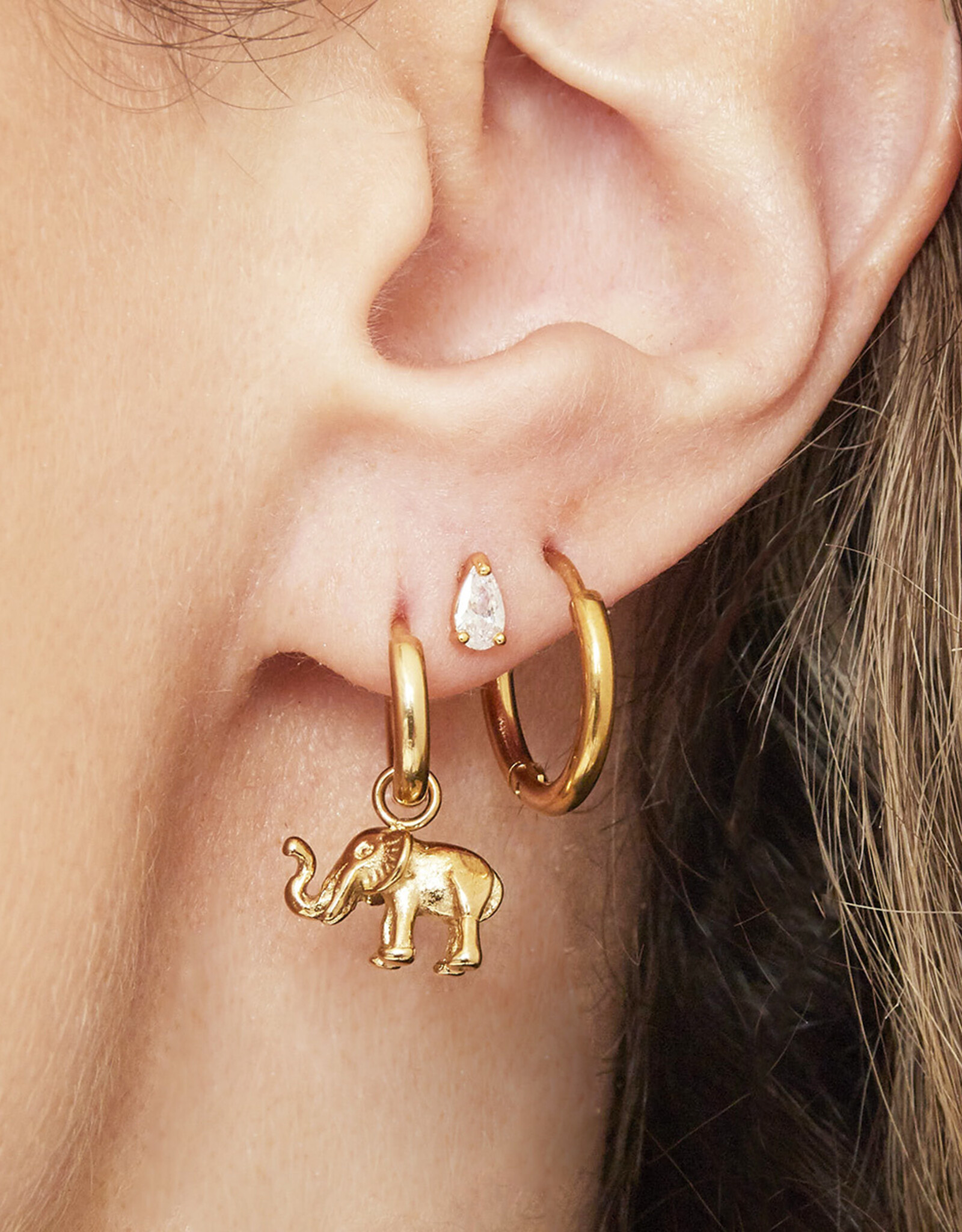 Gouden oorbellen Elephant