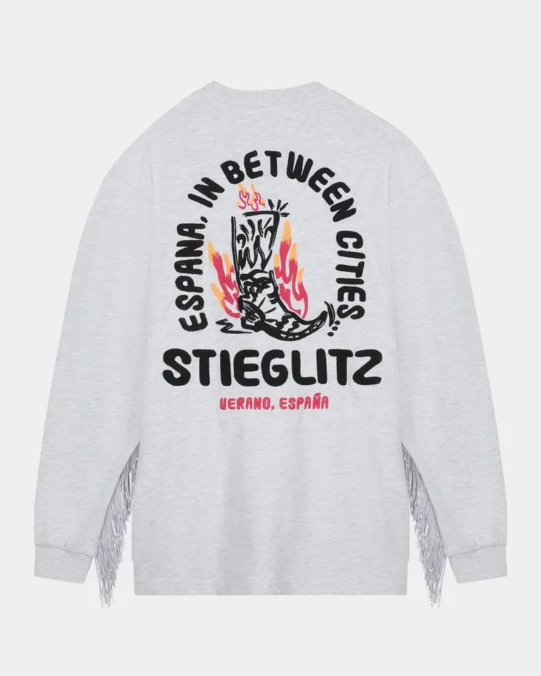 Stieglitz Milas skate shirt dress - grey