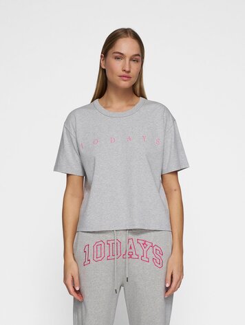 Short sleeve tee logo light grey melee