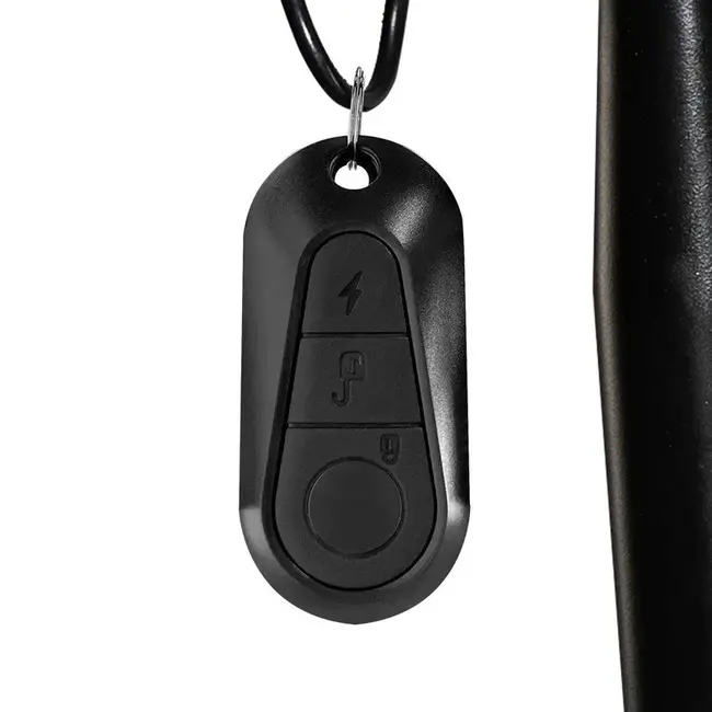 EB8  PRO - 250 Watt - Elektrische Fiets - Fatbike - Hydraulisch - Zwart