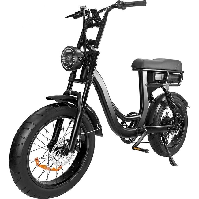 EB8  PRO - 250 Watt - Elektrische Fiets - Fatbike - Hydraulisch - Zwart