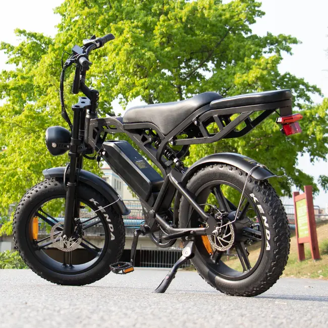 V20 PRO | Fatbike 2026 • 80KM Bereik • GPS • Alarm • 250W • Hydraulisch • 25 km/u + Accesoires(t.w.v. €150,-)