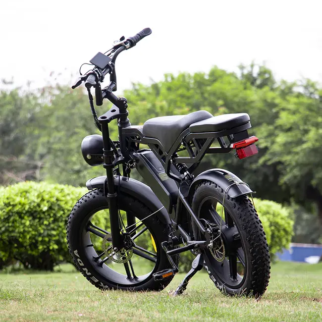 V20 PRO | Fatbike 2026 • 80KM Bereik • GPS • Alarm • 250W • Hydraulisch • 25 km/u + Accesoires(t.w.v. €150,-)