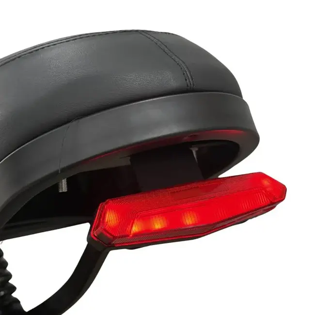 V20 PRO Mini Fatbike – Kinderfatbike – Hydraulische Remmen – Elektrische Kinderfiets – Zwart – Stoer & Veilig – Straatlegaal