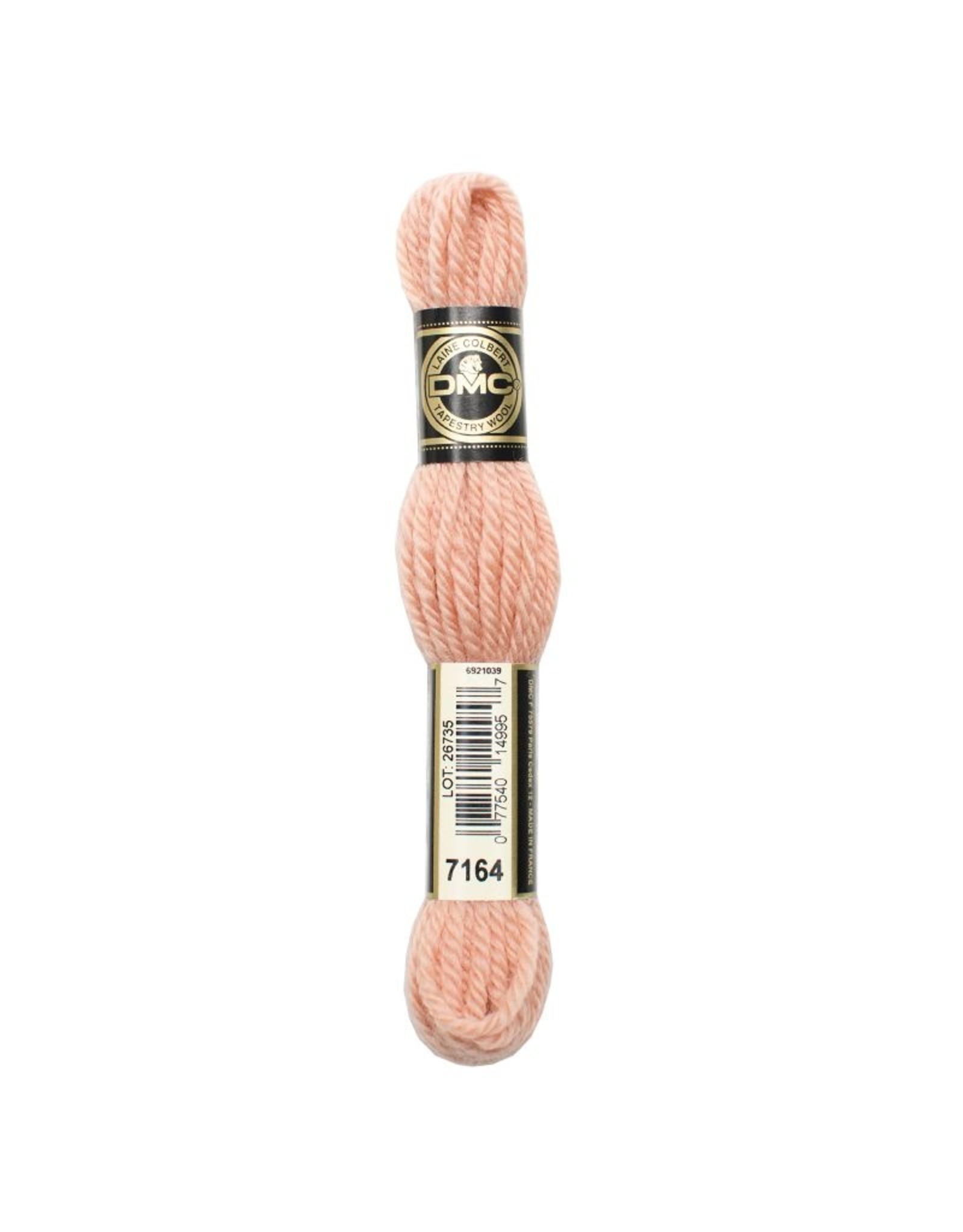 DMC DMC laine colbert Tapestry wool 7164