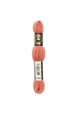 DMC DMC laine colbert Tapestry wool 7166