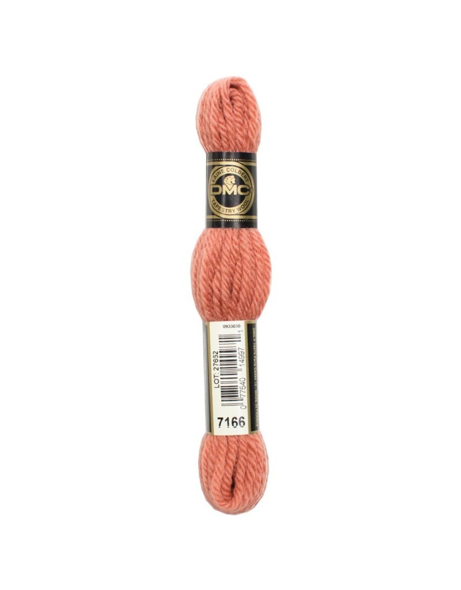 DMC DMC laine colbert Tapestry wool 7166