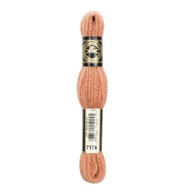 DMC DMC laine colbert Tapestry wool 7174